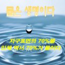 블루웰 이미지