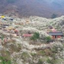 광양매화문화관 이미지