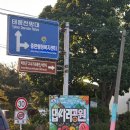 연천 임진강 댑싸리공원에서 가을 꽃구경 (깡통열차 후기, 주차⭕️)