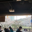 훌랄라 | [부산 온천천 카페거리] 벚꽃 보며 치맥 한 잔! 벚꽃명당 훌랄라치킨 내돈내산 후기