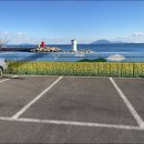 남해활어회 이미지