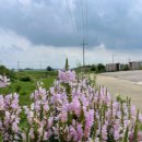 청년카페 야외 이미지