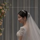 대전/충청 예신 필독! 라비에벨·메리비아포레·팔레드오페라 최신 웨딩 소식 한눈에