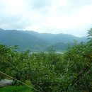 섬진농장 이미지