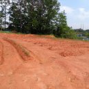 LCI수완유치원 이미지