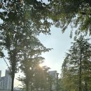 새동네어린이집 이미지