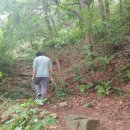 용마산 대삼각본점 | 후덥지근한 날씨에 등산하자 용마산 정상 후기!
