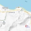 축제펜션 | 광양 매화마을 숙소 추천 “플럼블러썸” 전남풀빌라 펜션, 매화축제 방문 후기