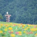 청송화원