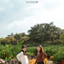 우정농장 이미지