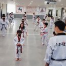 금곡태권도장 이미지