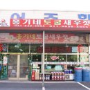 홍기네 토굴새우젓 이미지