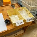 순천 근교 아이랑 가볼만한 곳 딸기체험 벌교 베리굿농장