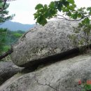 종산축사 | [스크랩] 마분봉(馬糞峰, 776m)