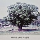 유림장 | 한말 유학(儒學)의 맥을 계승(繼承)한 근세의 거유(巨儒) 전주이씨 월헌(月軒) 이보림(李普林) 선생...