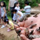강서방사 이미지