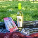 700071 | 나자매의 세계일주(酒) 되새김질 다섯번째: 뉴캐슬(Newcastle)과 더럼(Durham) (+ 영국 해리포터 촬영지...