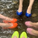 호두나무캠핑장 이미지