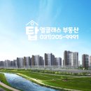 수원-1833 이미지