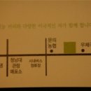 다다오 이미지