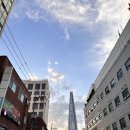 돌마리도서관 | 송파돌마리도서관-[가끔은 격하게 외로워야 한다]도서 후기(1/3)