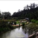 김영환농장 이미지