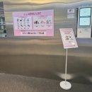 이씨플라자 주식회사 | 홍대 AK플라자 오뮤지엄 클램프전 전시회 다녀온 후기 &amp; 덕질 기록