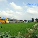[진천여행] 농촌마을체험/ 진천 백곡권역 물안뜰 마을 1박2일 여행 이미지
