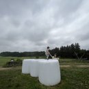 지율목장 이미지