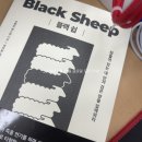 블랙 쉽 (Black Sheep) 후기