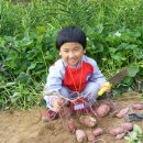 나현농장 이미지