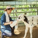한우가축인공수정소 이미지
