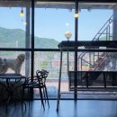 개인생활펫 이미지