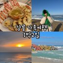 씨유 방이중앙점 | 강원도 강릉 1박 2일 가족여행(사근진해변, 안목해변, 스카이베이호텔, 랍스타, 순두부요리, 중앙시장)