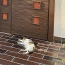 구텐베르크펜션 이미지