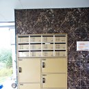 공도 송원길L 이미지