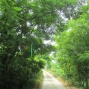 왕북초등학교 이미지