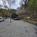 애견가족 | 충북 애견동반 캠핑장 타닥타닥 캠핑장 두가족 캠핑 후기