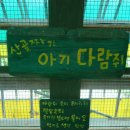 대관령 아기동물농장 이미지