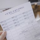 콩알 | 은테크 콩알은 모으기｜내돈내산 ‘빛나다’ 정착 후기