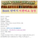 [ 도매 특가 ] 햇사과 아오리(썸머킹) 9.5키로 무료배송 이미지