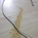 심재웅 동물병원 이미지