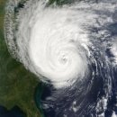 태풍건업 이미지