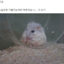 어정세차장 | 장마 멈춰...아니 지나가...아니 멈춰...