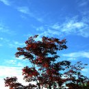 인천아시아드경기장 이미지