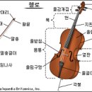 첼로 이미지