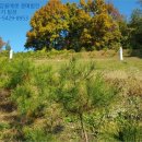 군포시보건소 버스정류소 이미지