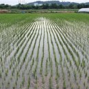 뽑기이야기 이미지