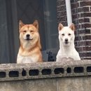 투어패밀리 이미지