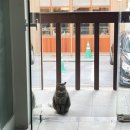 방배로16길 16-4 (1) 이미지